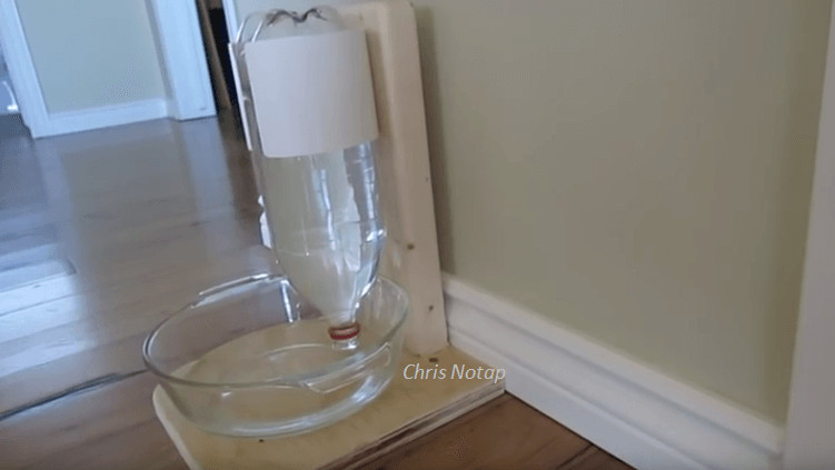 Best ideas about DIY Dog Water Dispenser
. Save or Pin Diy Water Dispenser DIY Unixcode Now.