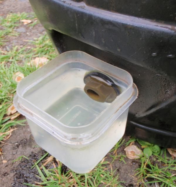 Best ideas about DIY Dog Water Dispenser
. Save or Pin Chicken Waterer on Pinterest Now.