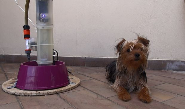 Best ideas about DIY Dog Water Dispenser
. Save or Pin Automatic Pet Water Bowl Project Hacked Gad s – DIY Now.