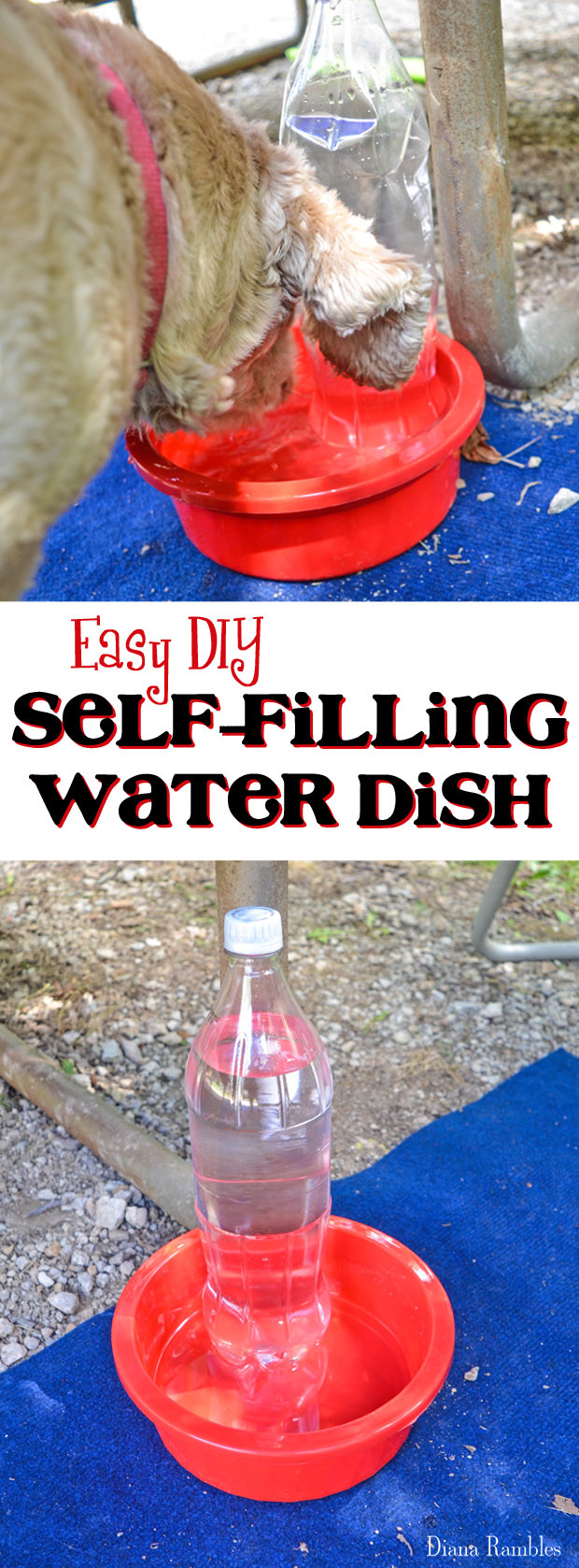 Best ideas about DIY Dog Water Dispenser
. Save or Pin Tips for Keeping Your Dog Cool While Camping in Summer Now.