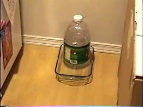 Best ideas about DIY Dog Water Dispenser
. Save or Pin 20 Fun and Creative Crafts with Plastic Soda Bottles Now.