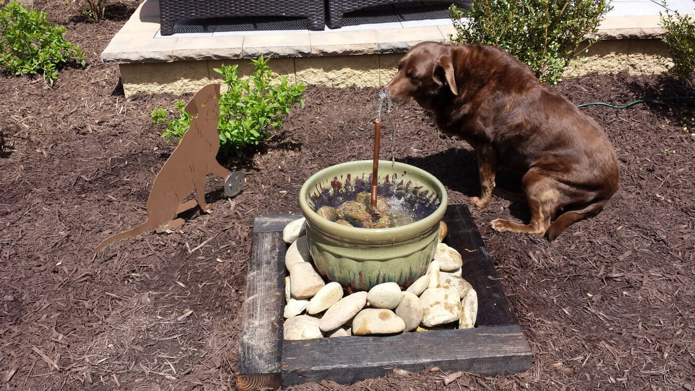 Best ideas about DIY Dog Water Fountain
. Save or Pin Patio Garden Water Feature DIY Homeowner GC Now.