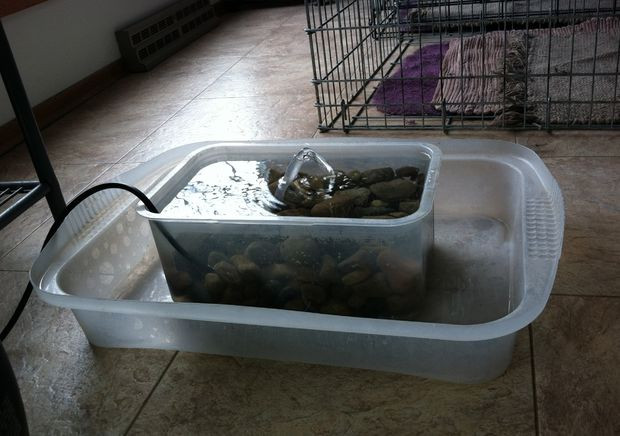 Best ideas about DIY Dog Water Fountain
. Save or Pin Dog Cat recycling water bowl Now.