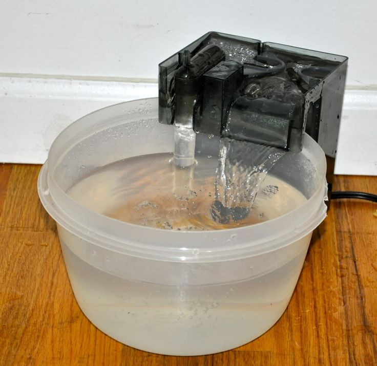 Best ideas about DIY Dog Water Fountain
. Save or Pin DIY cat dog water fountain Cool idea My cats will Now.