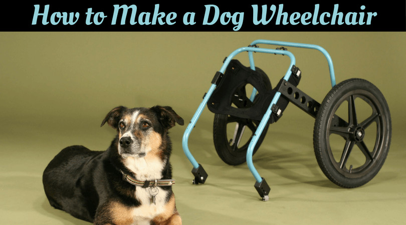 Best ideas about DIY Dog Wheelchair For Back Legs
. Save or Pin How to Make a Dog Wheelchair – Your Own DIY Wheelchair Now.