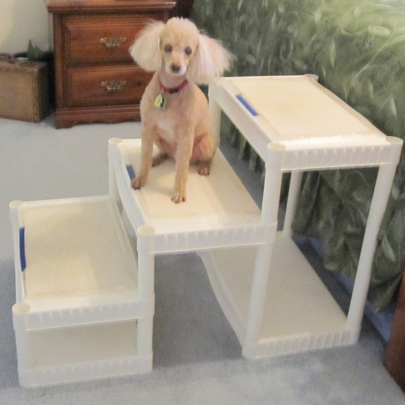 Best ideas about DIY Doggie Stairs
. Save or Pin Always Learning Stuff DIY Tall Dog Stairs for about $40 Now.