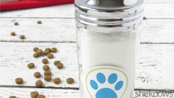 Best ideas about DIY Dry Dog Shampoo
. Save or Pin 28 Best images about RECIPES HOMEMADE PET FOOD on Now.