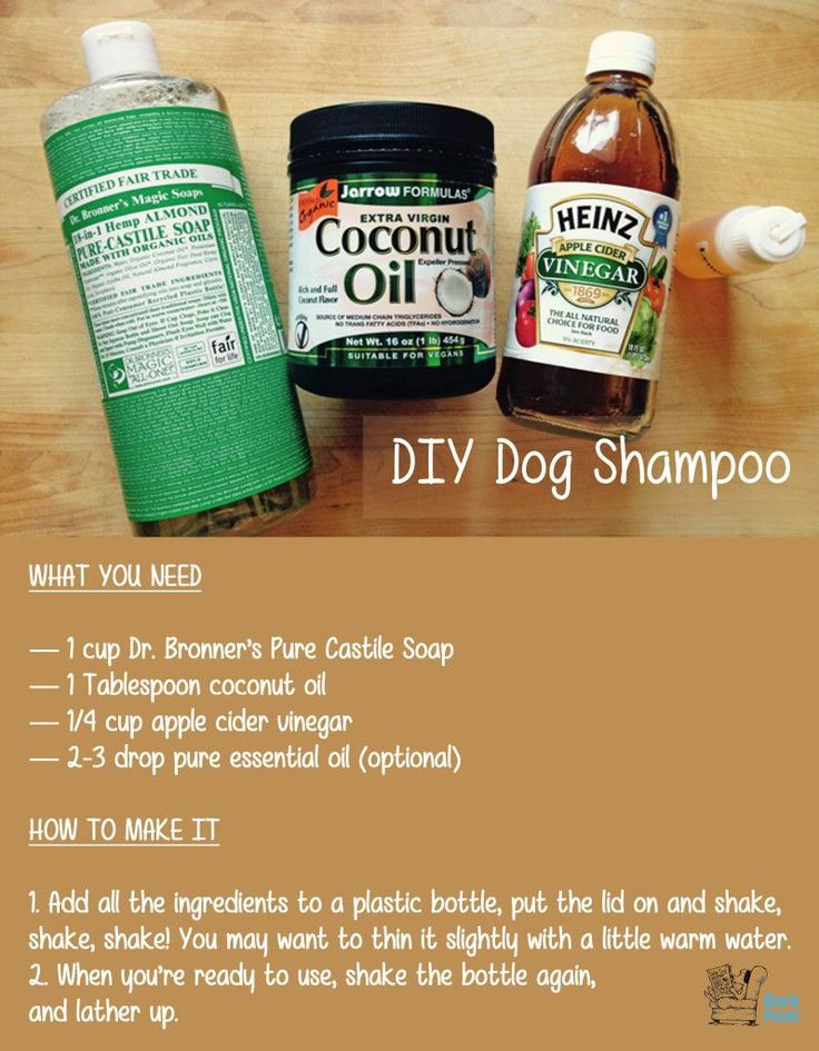 Best ideas about DIY Dry Dog Shampoo
. Save or Pin 25 best ideas about Homemade dog shampoo on Pinterest Now.
