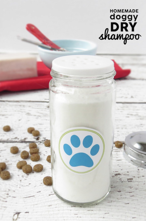 Best ideas about DIY Dry Dog Shampoo
. Save or Pin Dog Hacks Page 4 of 19 Smart School House Now.