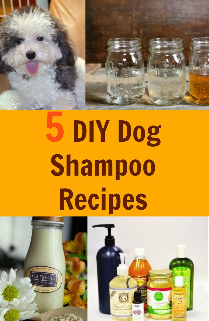 Best ideas about DIY Dry Dog Shampoo
. Save or Pin Best 25 Homemade dog shampoo ideas on Pinterest Now.