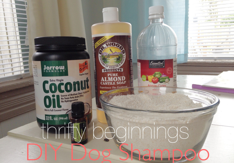 Best ideas about DIY Dry Dog Shampoo
. Save or Pin DIY Homemade Shampoos for Dogs Going EverGreen Now.