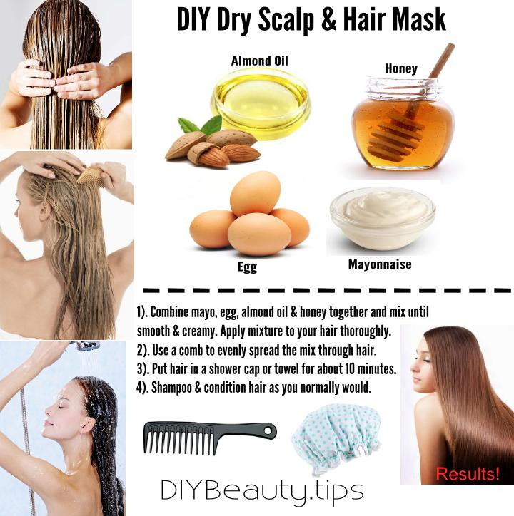 Best ideas about DIY Dry Hair Mask
. Save or Pin DIY Dry Scalp & Hair Mask Now.