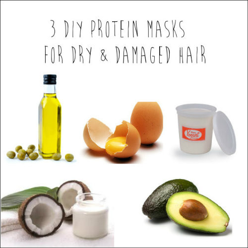 Best ideas about DIY Dry Hair Mask
. Save or Pin 3 DIY Protein Masks for Dry & Damaged Hair Now.