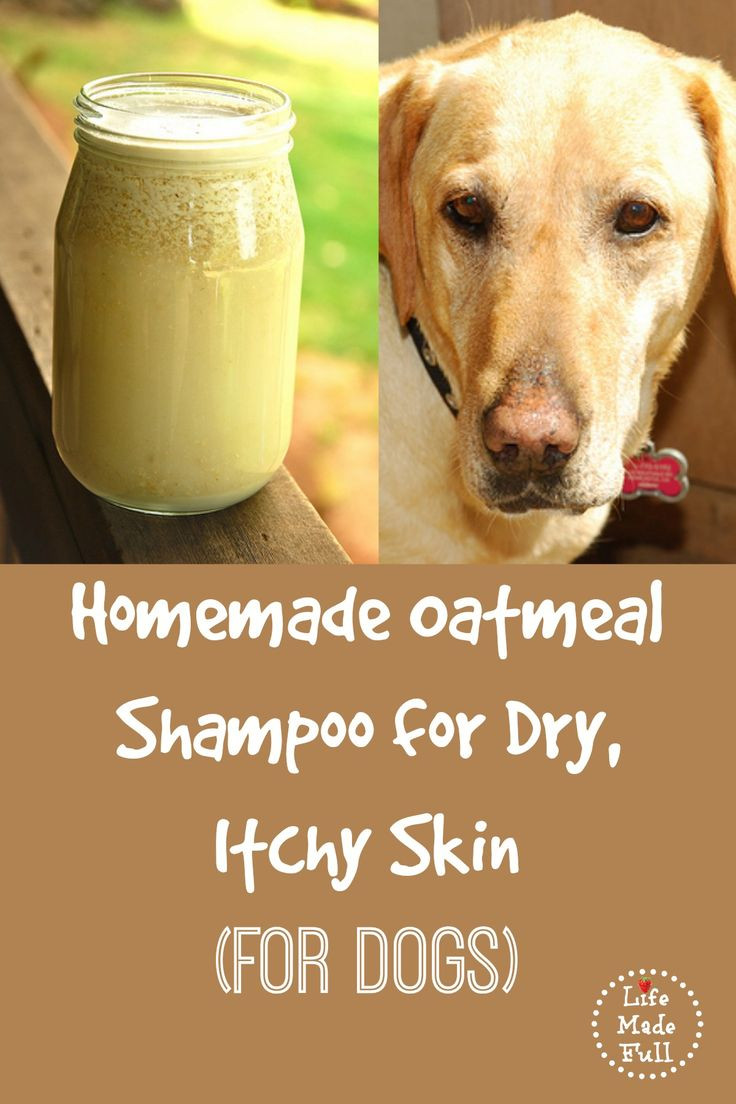 Best ideas about DIY Dry Shampoo For Dogs
. Save or Pin 1000 ideas about Dry Skin Feet on Pinterest Now.