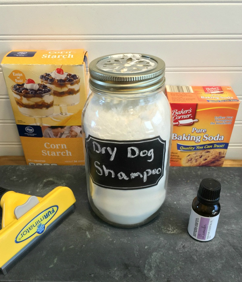 Best ideas about DIY Dry Shampoo For Dogs
. Save or Pin Itch Relief Dry Shampoo for Dogs Recipe Now.