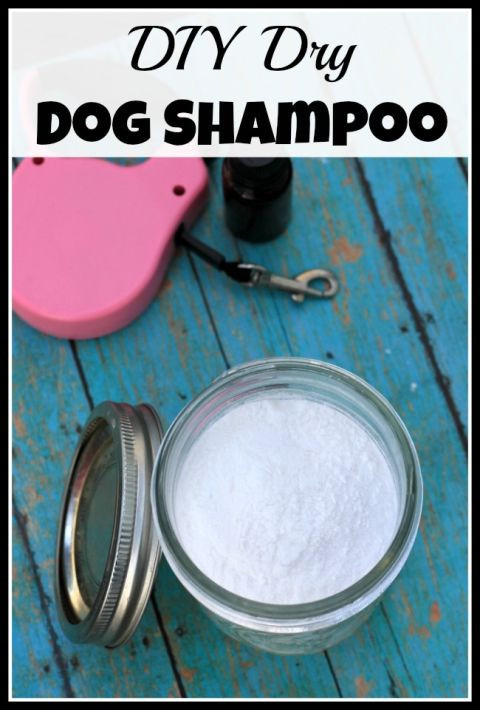 Best ideas about DIY Dry Shampoo For Dogs
. Save or Pin DIY Dry Dog Shampoo Now.