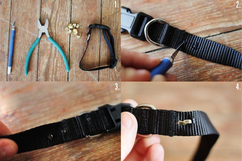 Best ideas about DIY E Collar For Dog
. Save or Pin DIY Studded Doggie Collar A Beautiful Mess Now.