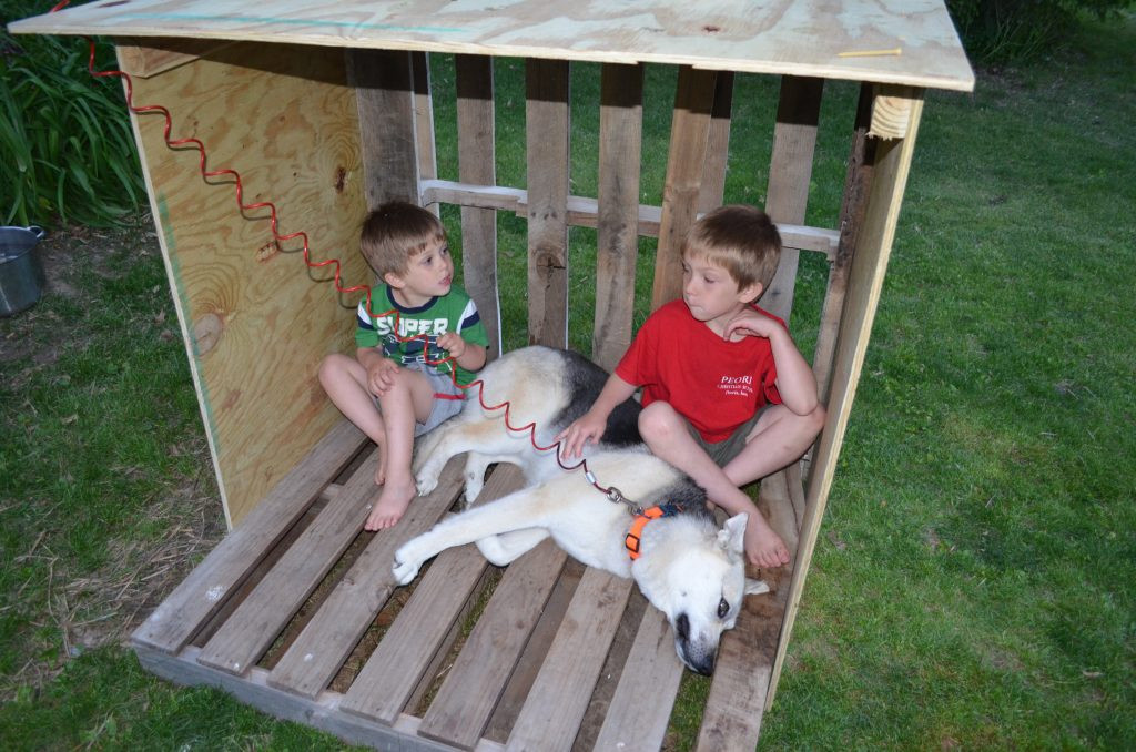 Best ideas about DIY Easy Dog House
. Save or Pin DIY Dog House from Recycled Wooden Pallets Tutorial Now.