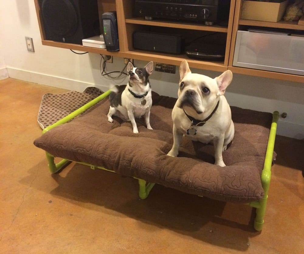 Best ideas about DIY Elevated Dog Bed
. Save or Pin 21 Amazing DIY PVC Pipes Projects That Will Blow Your Mind Now.