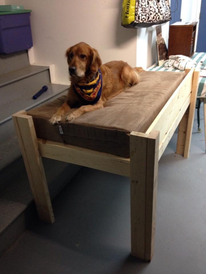 Best ideas about DIY Elevated Dog Bed
. Save or Pin Ana White Now.