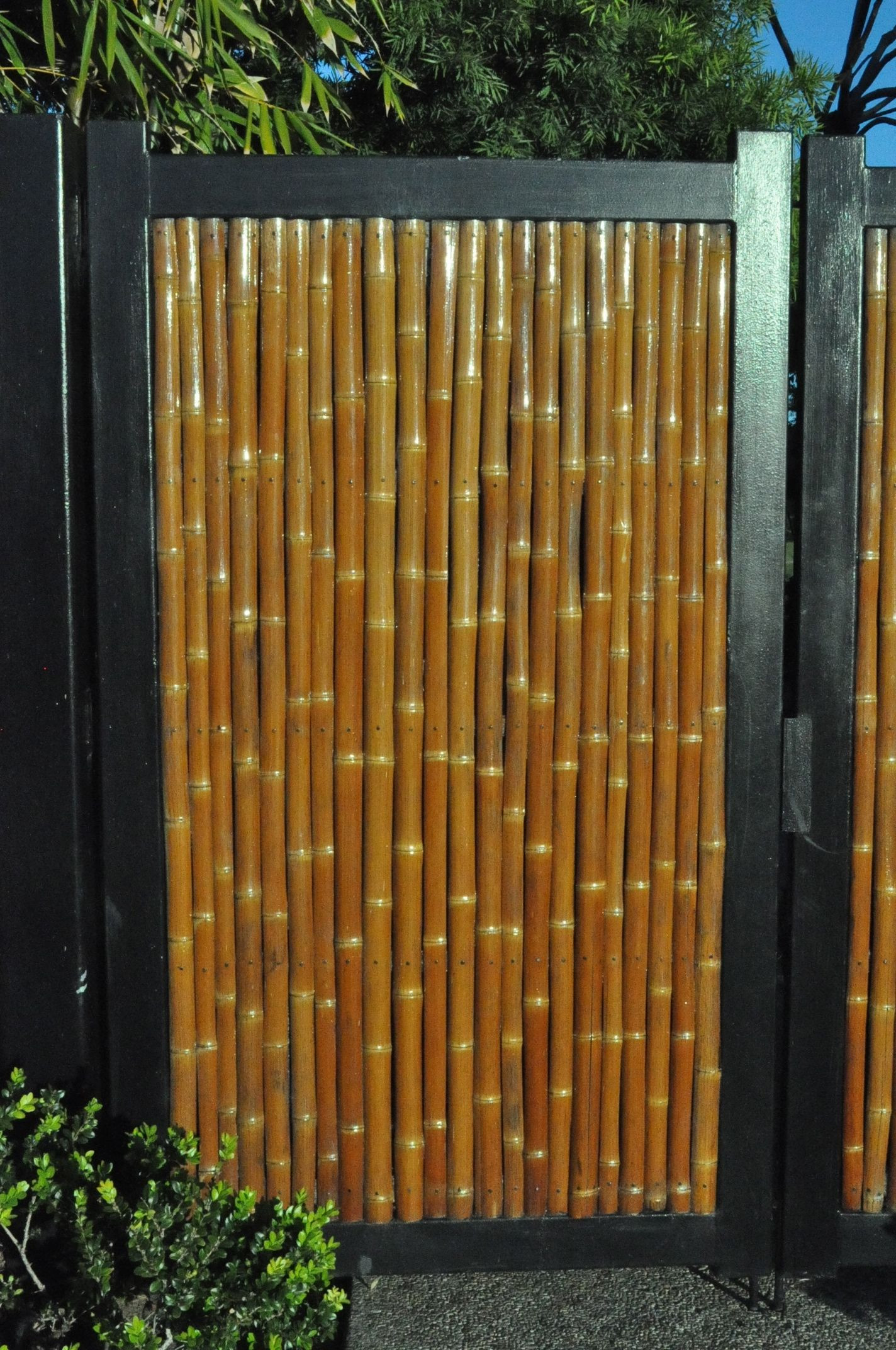 Best ideas about DIY Fence Panels
. Save or Pin Bamboo Door California in 2019 Now.