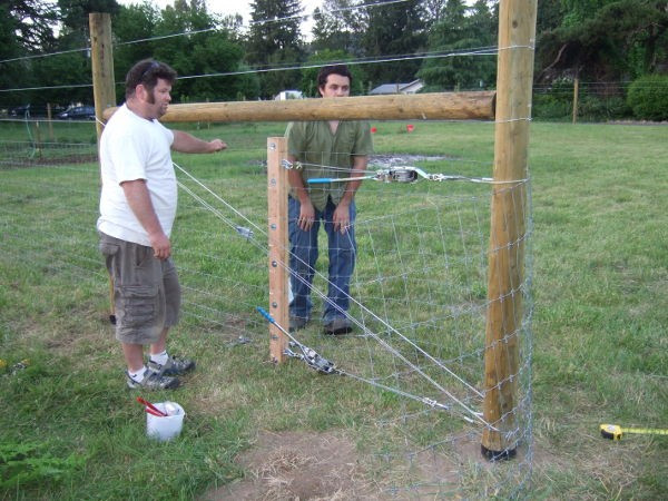 Best ideas about DIY Fence Stretcher
. Save or Pin Stunning High Tensile Chain Link Fencing For Elegant Fence Now.