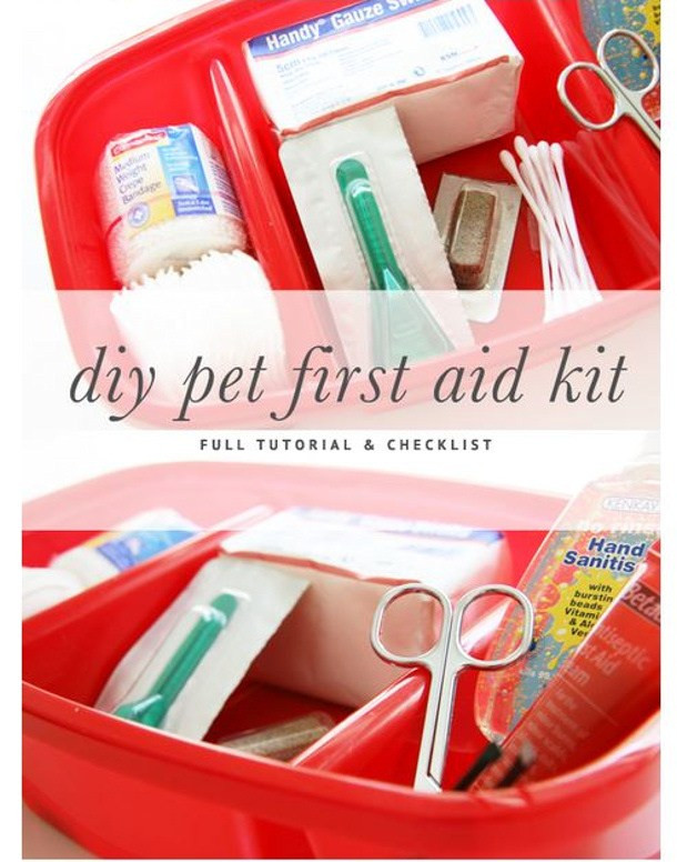 Best ideas about DIY First Aid Kit
. Save or Pin 20 DIY First Aid Kits Now.