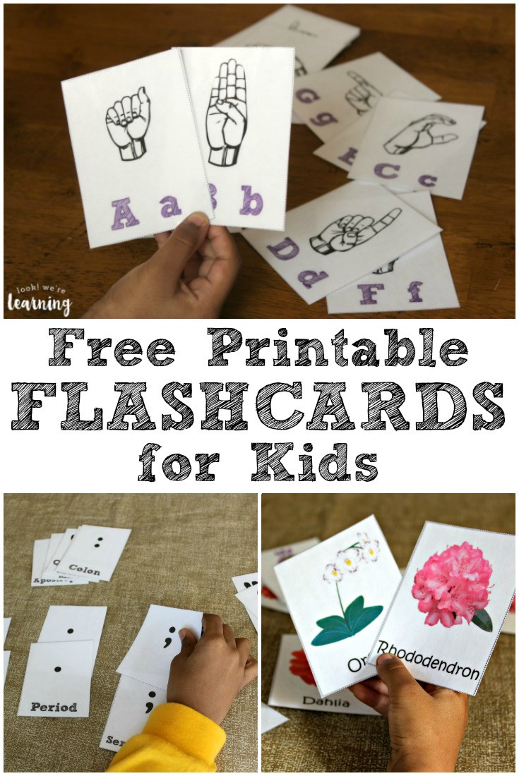 Best ideas about DIY Flashcards For Toddlers
. Save or Pin Free Printable Flashcards Look We re Learning Now.
