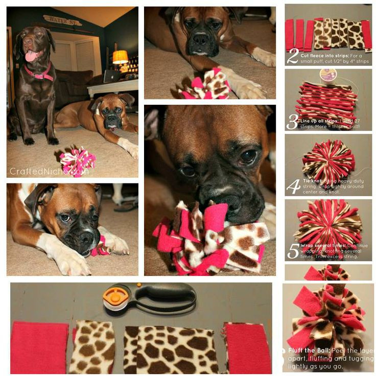 Best ideas about DIY Fleece Dog Toy
. Save or Pin 37 Homemade Dog Toys Made by DIY Pet Owners Now.