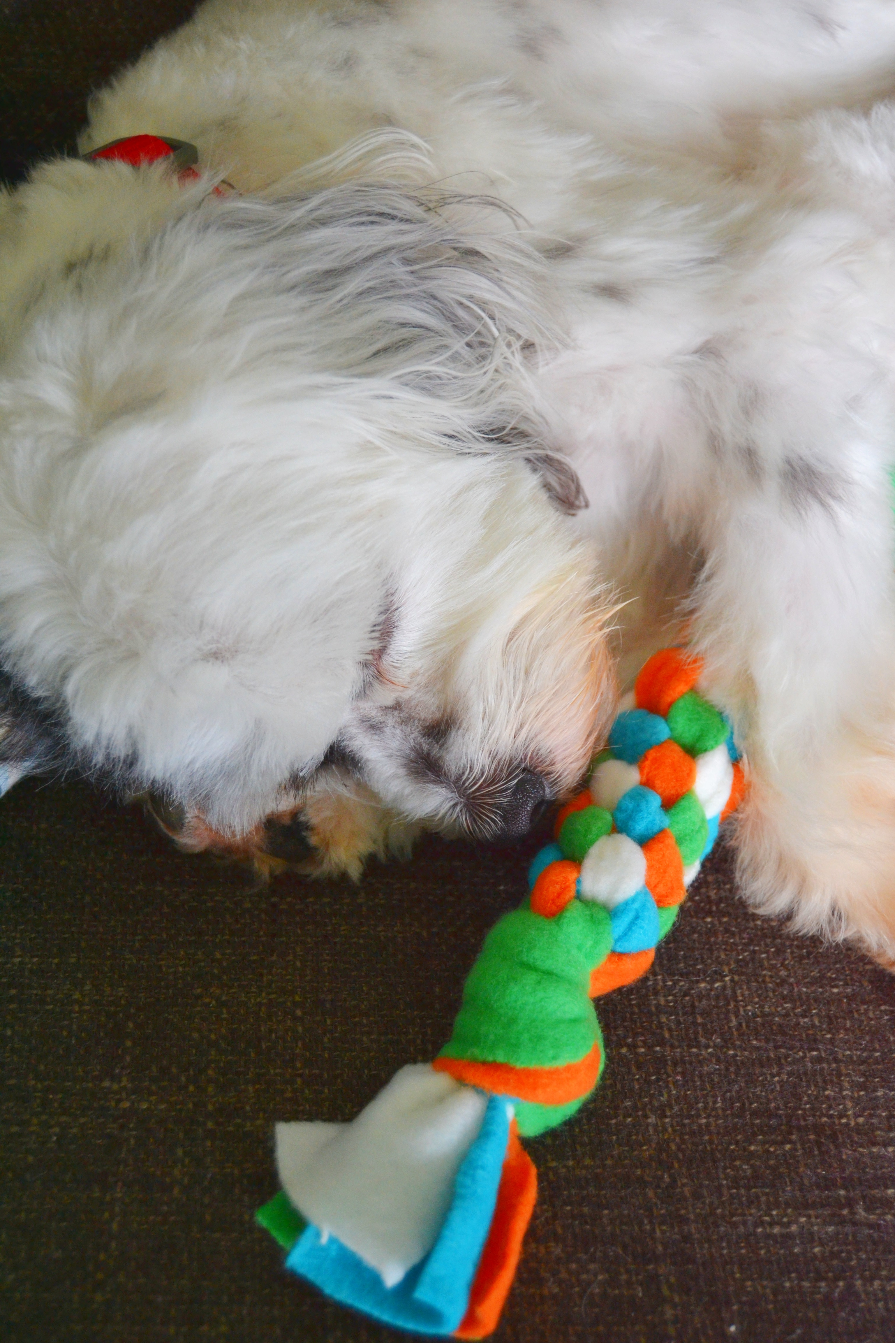 Best ideas about DIY Fleece Dog Toy
. Save or Pin DIY Fleece Dog Toy Tutorial – Mary Martha Mama Now.