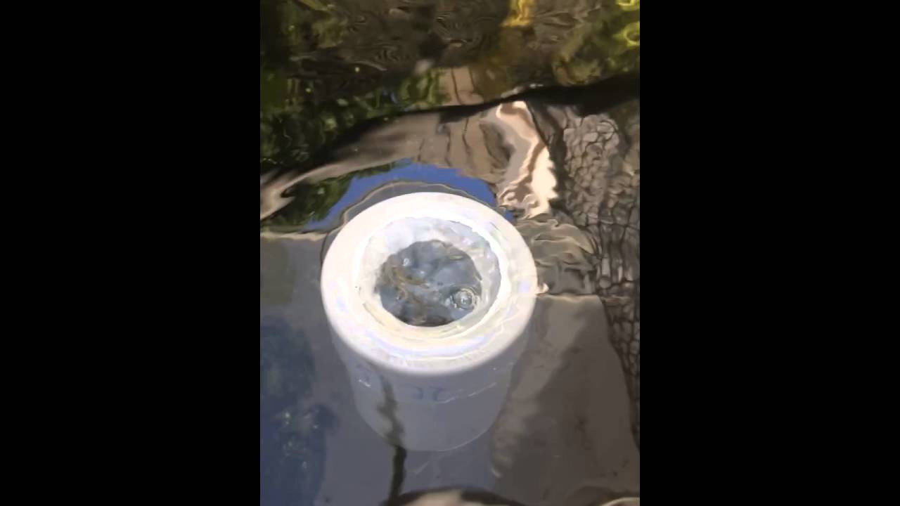 Best ideas about DIY Floating Pool Skimmer
. Save or Pin DIY Koi pond floating surface skimmer Now.