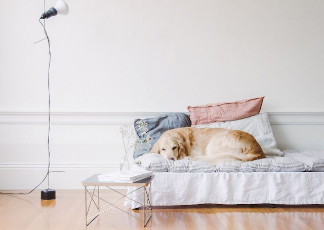 Best ideas about DIY Floor Mattress
. Save or Pin Best 25 Diy mattress ideas on Pinterest Now.