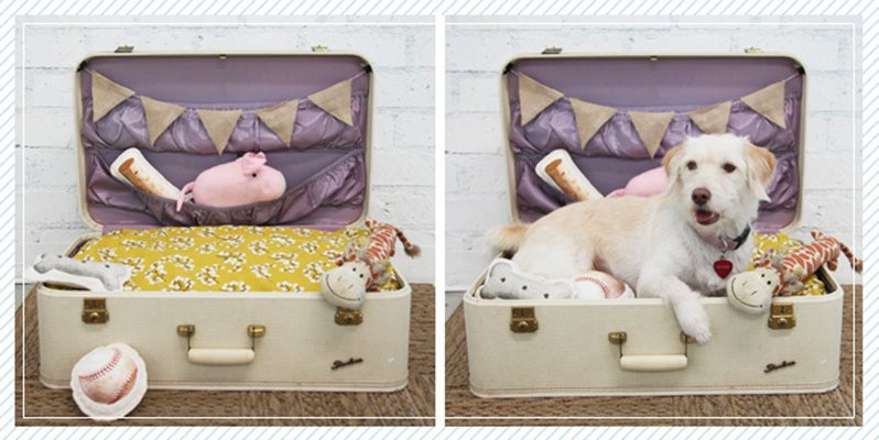 Best ideas about DIY For Dog
. Save or Pin Upcycle Vintage Suitcases DIY Projects Craft Ideas & How Now.