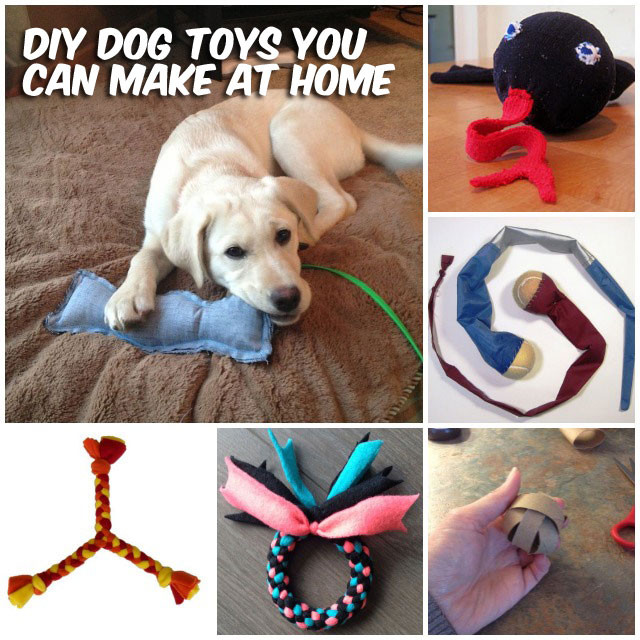 Best ideas about DIY For Dog
. Save or Pin 37 Homemade Dog Toys Made by DIY Pet Owners Now.