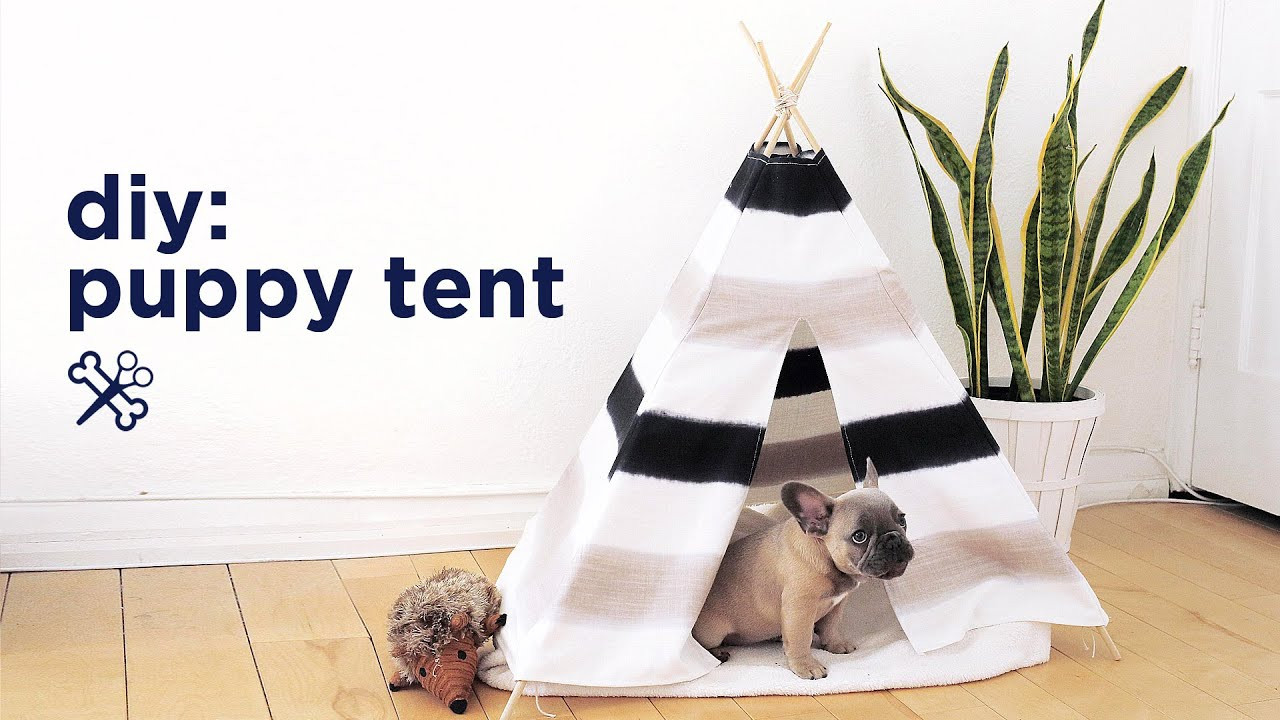 Best ideas about DIY For Dogs
. Save or Pin DIY PUPPY PET TENT Now.