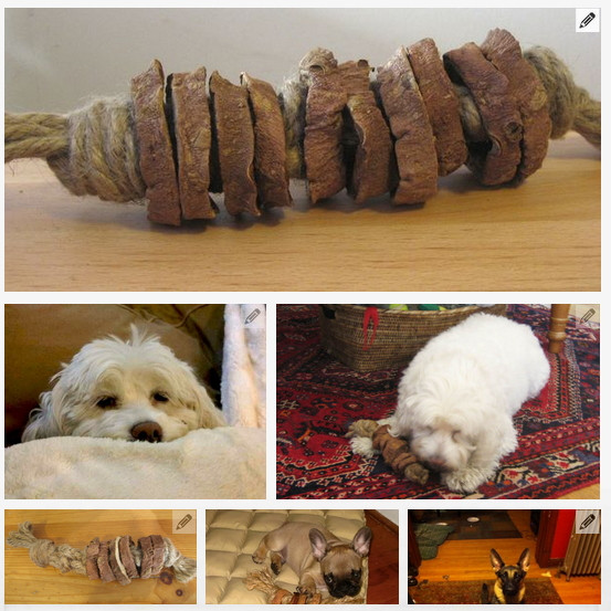 Best ideas about DIY For Dogs
. Save or Pin 44 Really Cool Homemade DIY Dog Toys Your Dog Will Love Now.