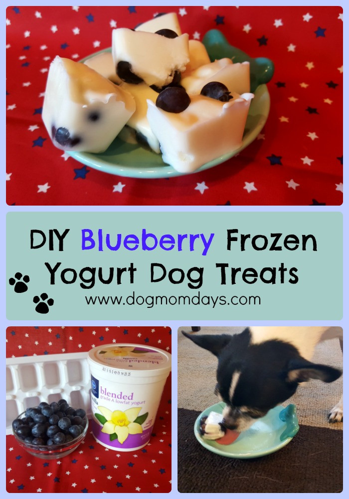 Best ideas about DIY Frozen Dog Treats
. Save or Pin DIY Blueberry Frozen Yogurt Dog Treats Dog Mom Days Now.