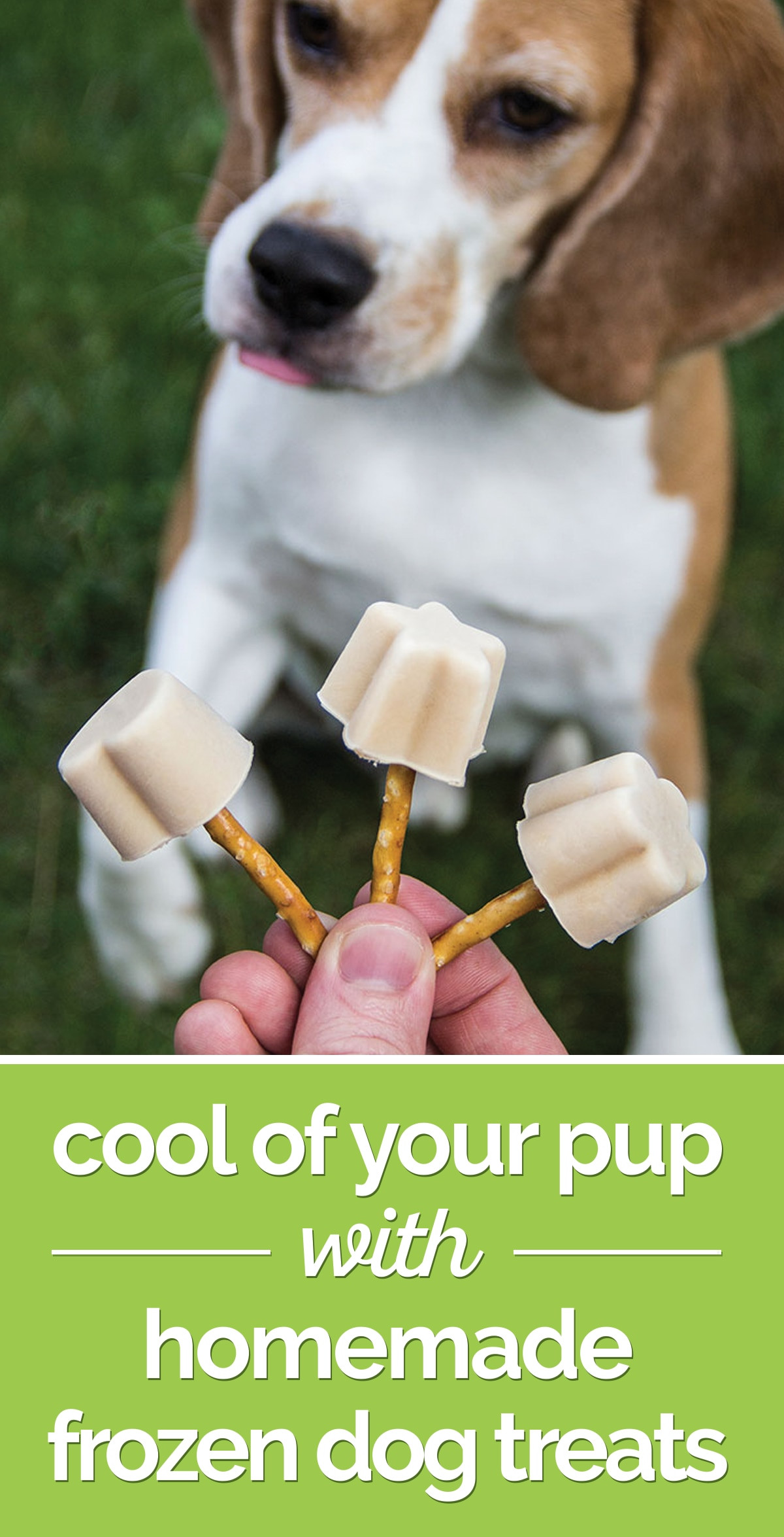 Best ideas about DIY Frozen Dog Treats
. Save or Pin Homemade Frozen Dog Treats for Your Pup thegoodstuff Now.