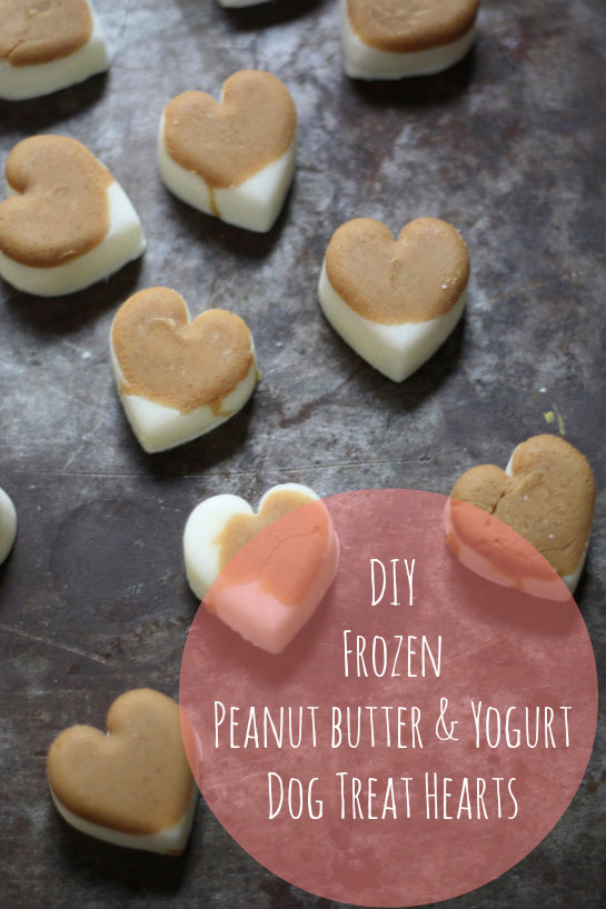 Best ideas about DIY Frozen Dog Treats
. Save or Pin Valentine s Pets DIY Natural Frozen Dog Treats Now.