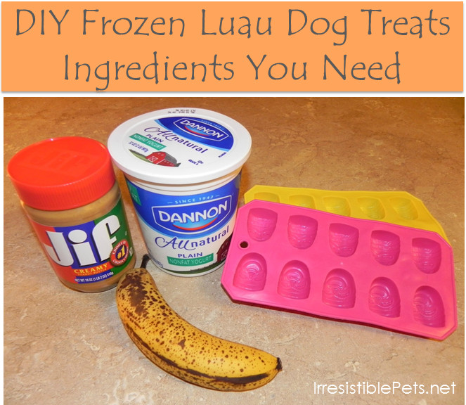 Best ideas about DIY Frozen Dog Treats
. Save or Pin DIY Frozen Luau Dog Treats Irresistible Pets Now.