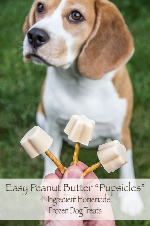 Best ideas about DIY Frozen Dog Treats
. Save or Pin Homemade Frozen Dog Treats for Your Pup thegoodstuff Now.