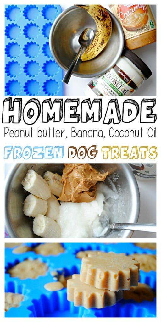 Best ideas about DIY Frozen Dog Treats
. Save or Pin Homemade Frozen Banana Peanut Butter Coconut Oil Dog Treats Now.