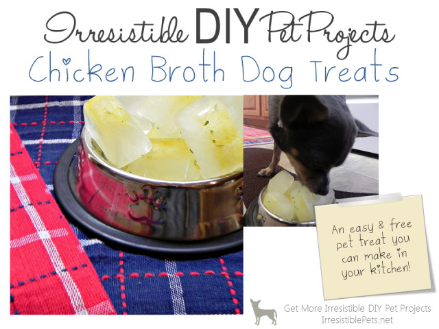 Best ideas about DIY Frozen Dog Treats
. Save or Pin DIY Chicken Broth Dog Treats Irresistible Pets Now.