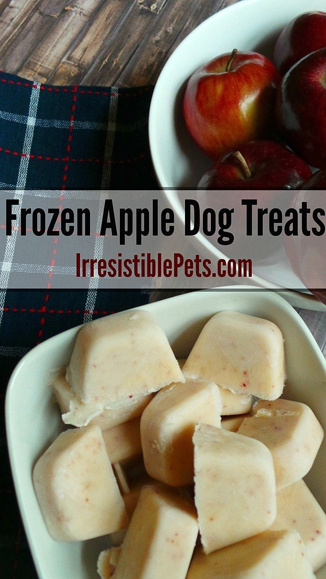 Best ideas about DIY Frozen Dog Treats
. Save or Pin 14 Homemade Recipes for Dog Treats DIY for Life Now.