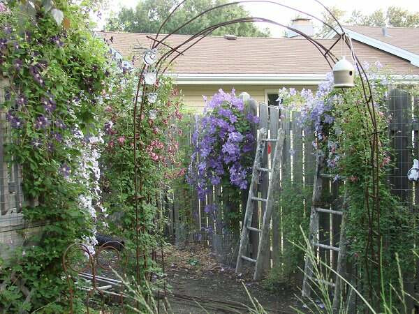 Best ideas about DIY Garden Arch
. Save or Pin 3 Home Improvement DIY IdeasForward Home Security Now.