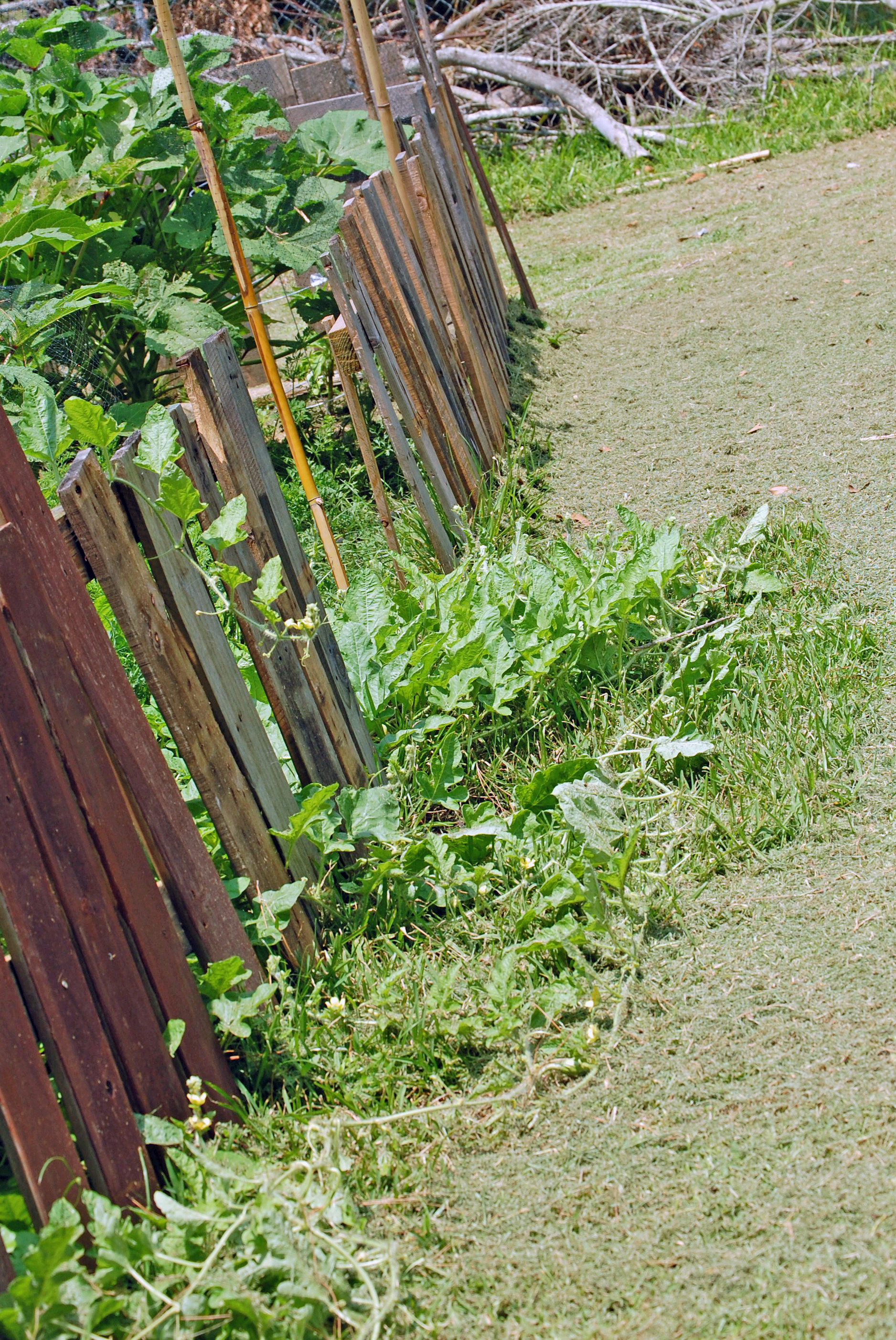 Best ideas about DIY Garden Fence
. Save or Pin DIY Garden Fence Now.