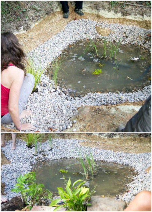 Best ideas about DIY Garden Pond
. Save or Pin 15 Bud Friendly DIY Garden Ponds You Can Make This Now.