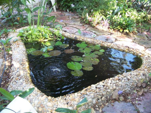 Best ideas about DIY Garden Pond
. Save or Pin Concrete Pond DIY Now.