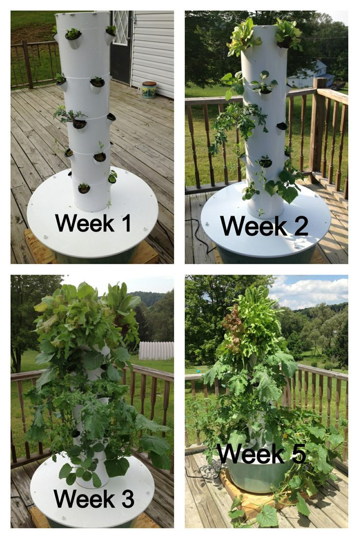 Best ideas about DIY Garden Tower
. Save or Pin Aeroponic Tower Gardens – BGC Now.