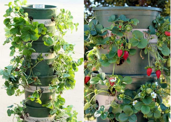 Best ideas about DIY Garden Tower
. Save or Pin 30 DIY Tower Garden Ideas To Grow Plants Vertically – The Now.